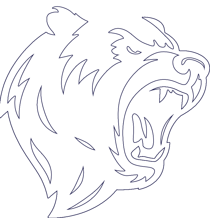 Them Bears